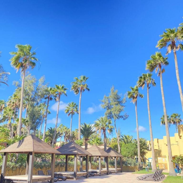 Jardín Atlántico - Apartamento con vistas a la piscina - 12