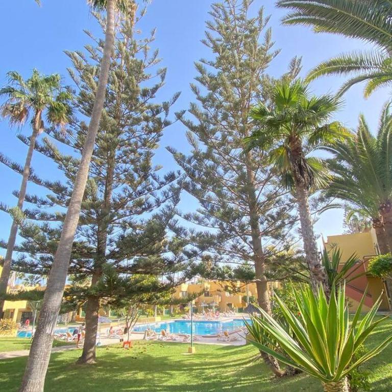 Jardín Atlántico - Apartamento con vistas a la piscina - 29