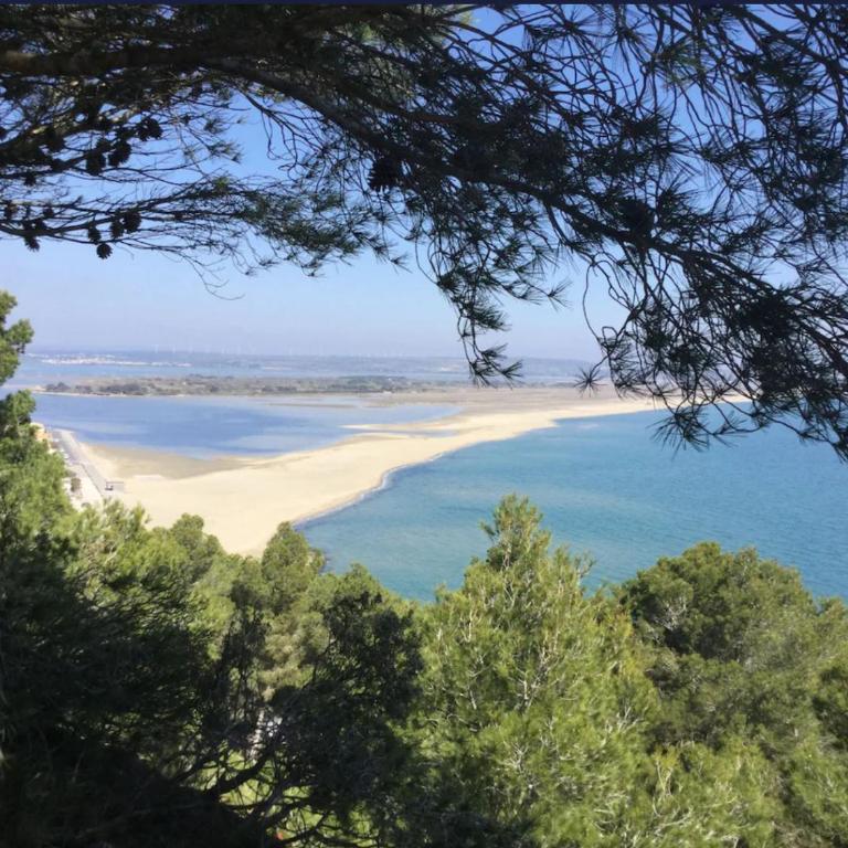 Superbe villa tout confort au coeur de Leucate La Franqui - Appartement 1 Chambre - 24