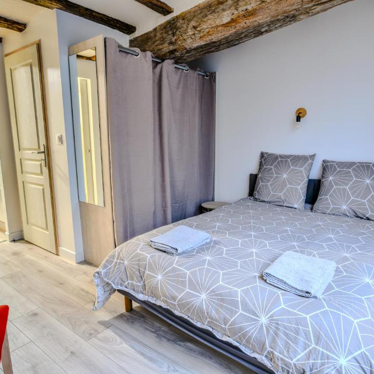 Charming Duplex near Château Wifi Netflix - Appartement 2 Chambres - 3