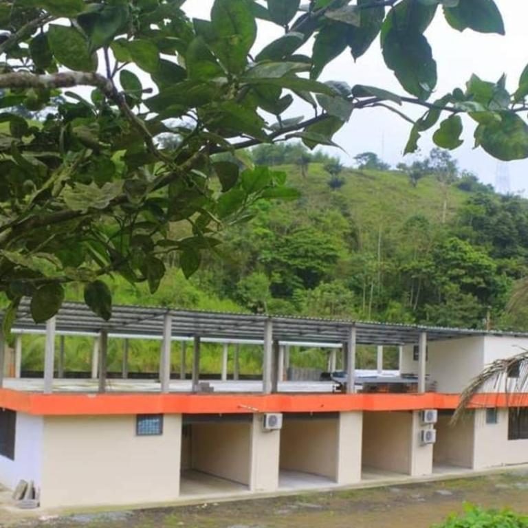 Hostal El Bosque - One-Bedroom Apartment - 3
