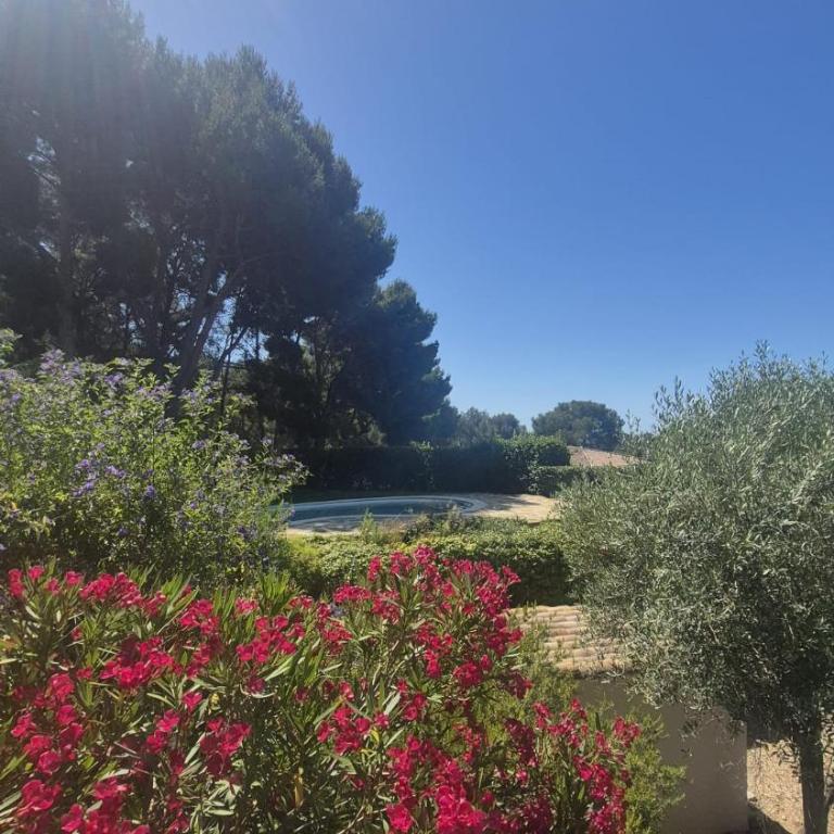 Magnifique villa sur la baie de la Ciotat - Villa con 3 Camere da Letto - 18