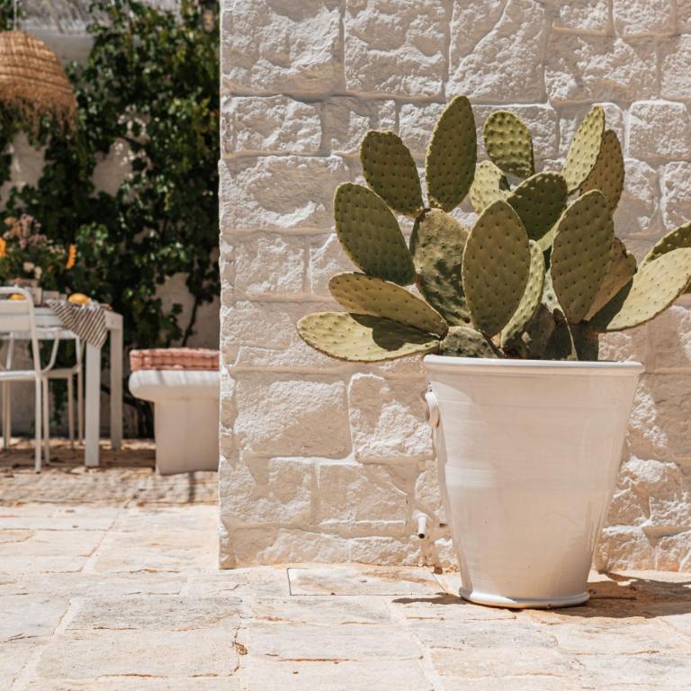 Trulli Pietra di Confine - Villa - 6