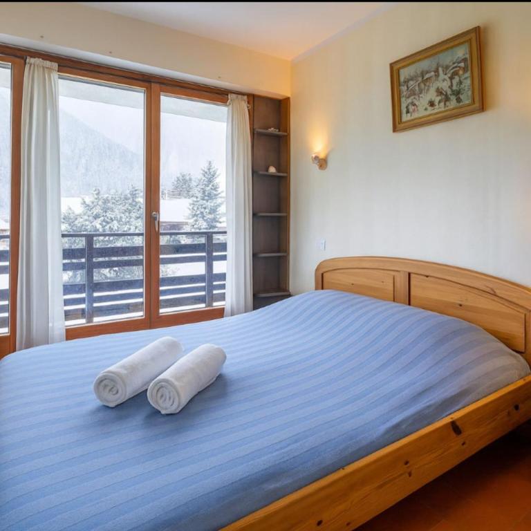 Apartment overlooking the Mont Blanc range - Apartment - 3