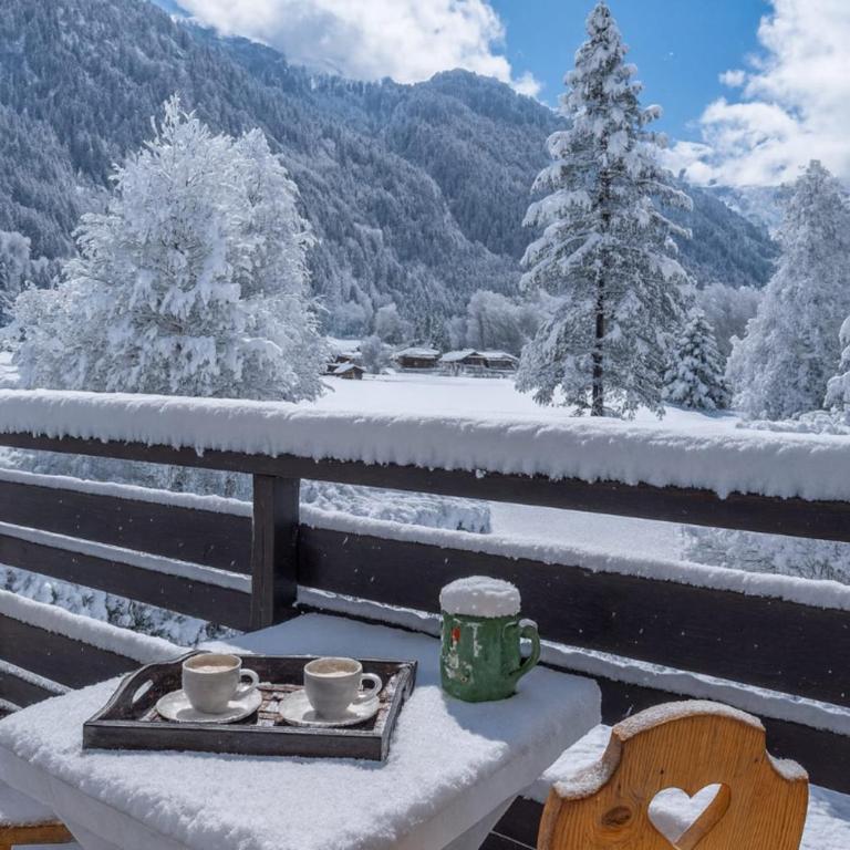 Apartment overlooking the Mont Blanc range - Apartment - 14