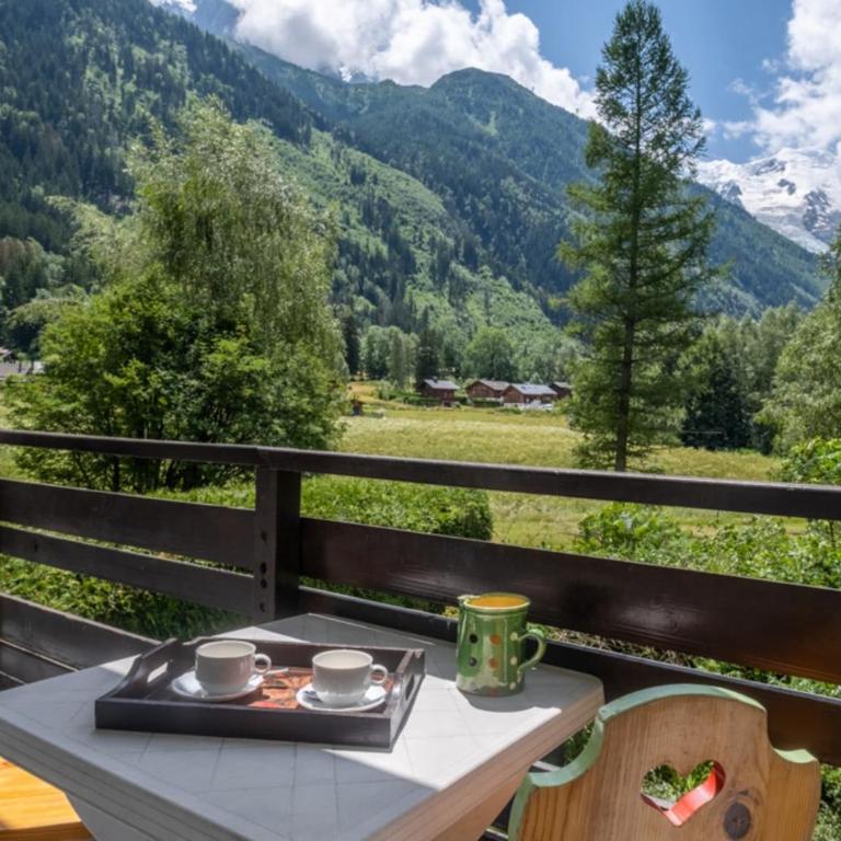 Apartment overlooking the Mont Blanc range - Apartment - 15