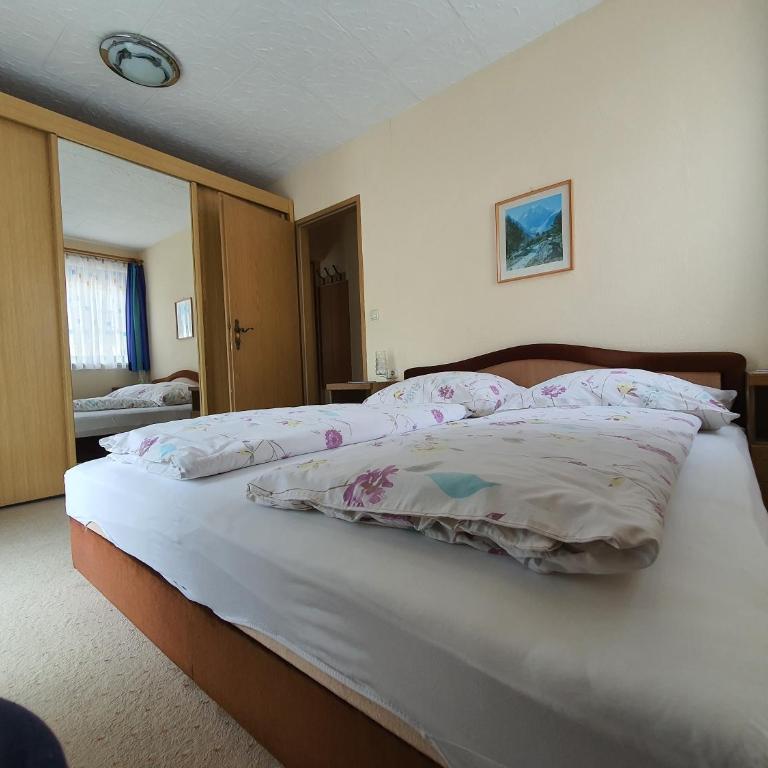 Apartmenthaus Erna Bad Hofgastein - Appartamento con 1 Camera da Letto - 7