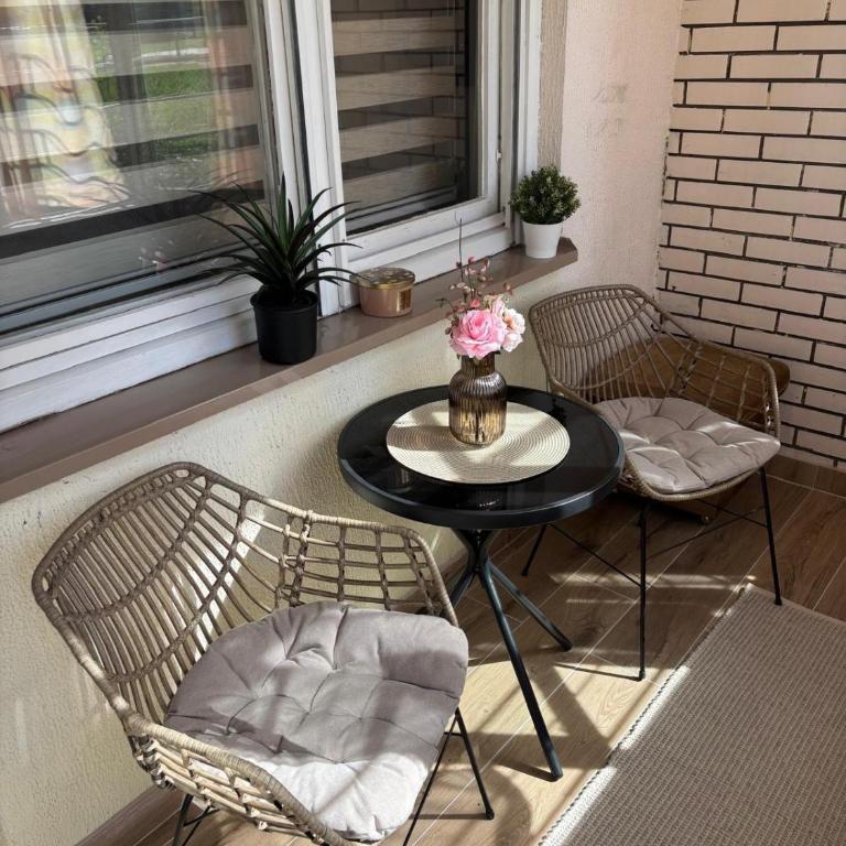 Comfy Apartment Sarajevo - Apartman sa 1 Spavaćom Sobom - 4