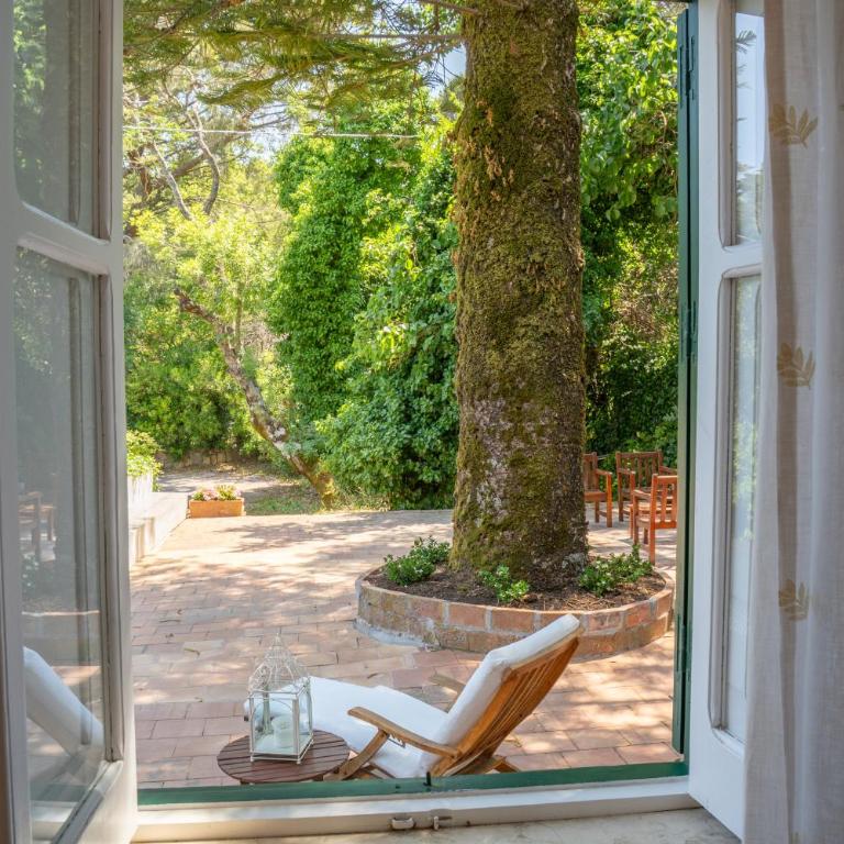Villa Chiara - Luxury Country House - Cefalù - Villa Deluxe - 37