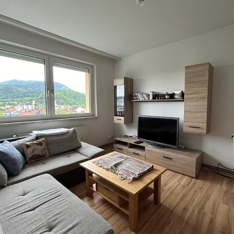 LowcosthighcomfortZeltenschlag - Apartment mit 1 Schlafzimmer - 8