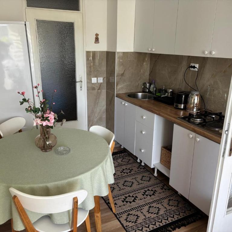 Comfy Apartment Sarajevo - Apartman sa 1 Spavaćom Sobom - 14