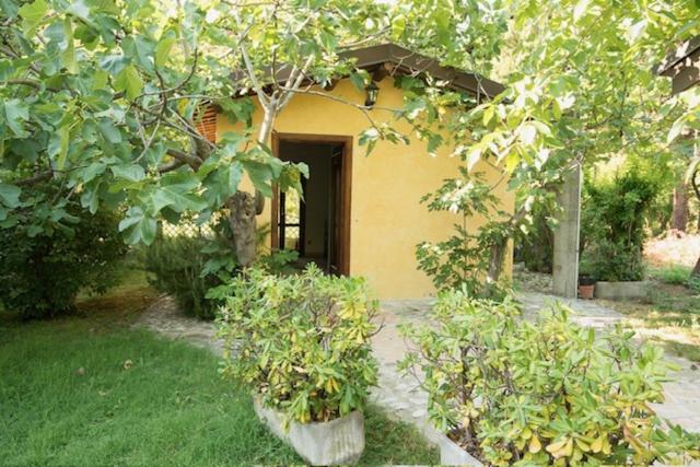 Agriturismo Le Meridiane - Doppelzimmer - barrierefrei - 5