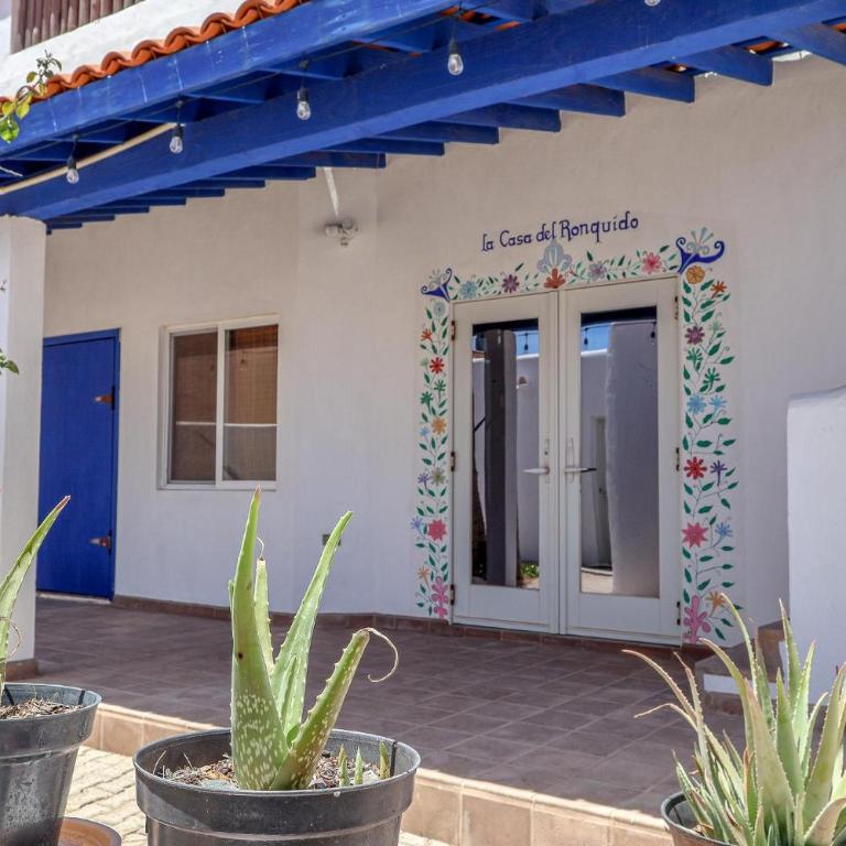 Casa del Ronquido - Vacation Home - 9