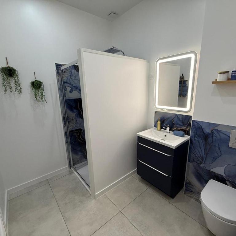 Spa des Sacres - Suite avec Jacuzzi Privatif - Haus mit 1 Schlafzimmer - 34
