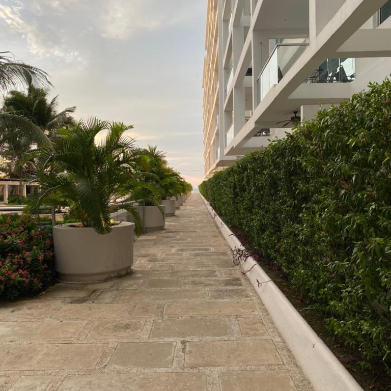 Apartment Morros 3 direct ocean access 8 people - Two-Bedroom Apartment - 31