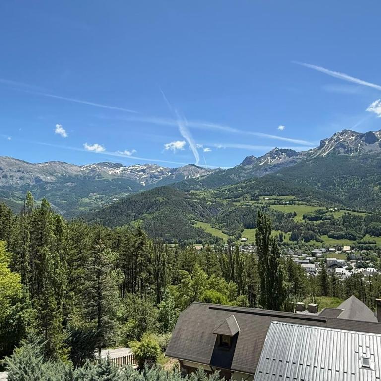 Barcelonnette Vue Panoramique 2 chambres - Appartamento - 7
