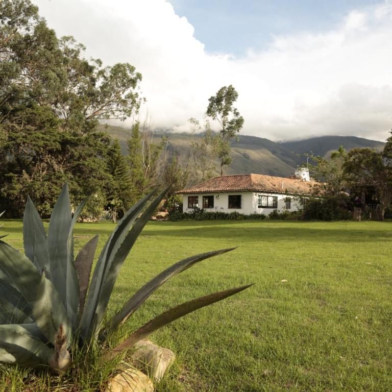 Finca Villa Sofía - Villa - 3