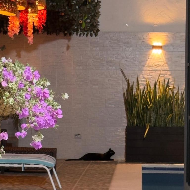 Casa amplia , con piscina privada - Two-Bedroom House - 6
