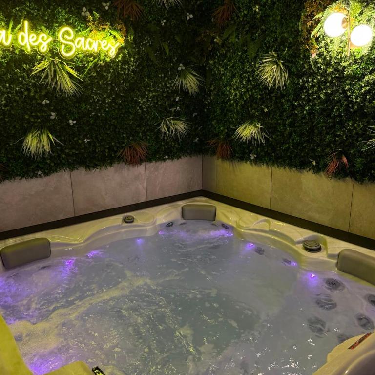 Spa des Sacres - Suite avec Jacuzzi Privatif - Haus mit 1 Schlafzimmer - 3