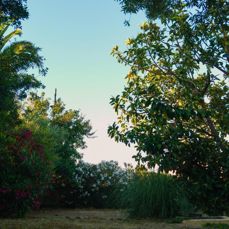 Villa Nettuno-Vista Tavolara within walking distance of the sea - Casa Vacacional de 3 dormitorios - 22