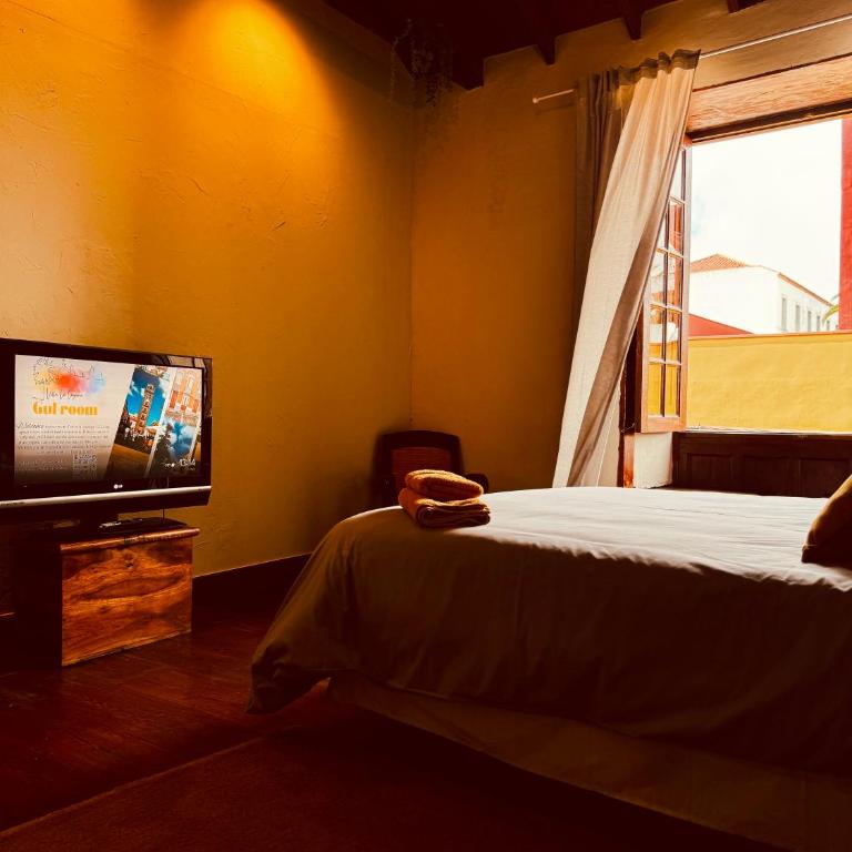 Coliving Tenerife - Villa La Laguna - Standard Double Room with Shared Bathroom - 7