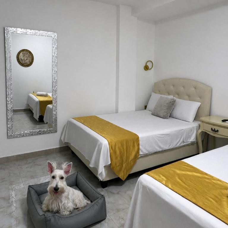Hotel The Royalty Inn - Superior Double or Twin Room - 4