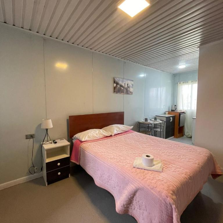 Hospedaje Oasis Modulares - One-Bedroom Apartment - 19