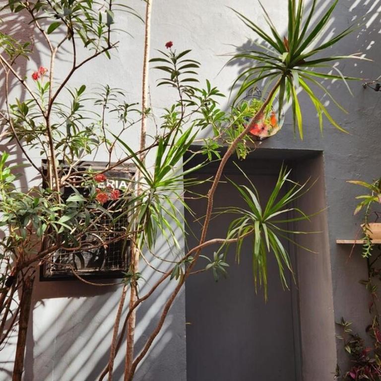 Beautiful house with patio, barbecue and super-equipped - Casa de 2 dormitorios - 9