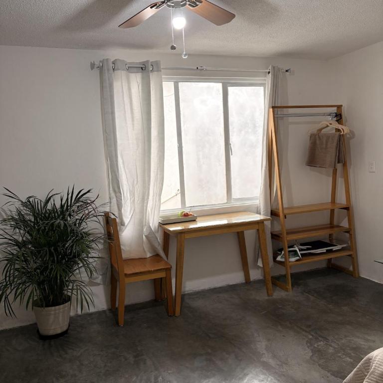 Casa Plantasia Oaxaca - Apartamento de 1 dormitorio - 5