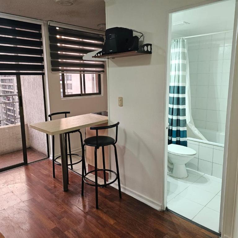 Parque Bulnes Moneda - One-Bedroom Apartment - 12