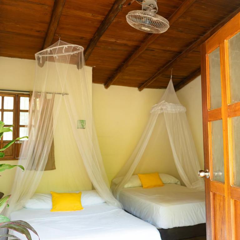 Kallpa B&B - Habitación Familiar con baño privado - 5