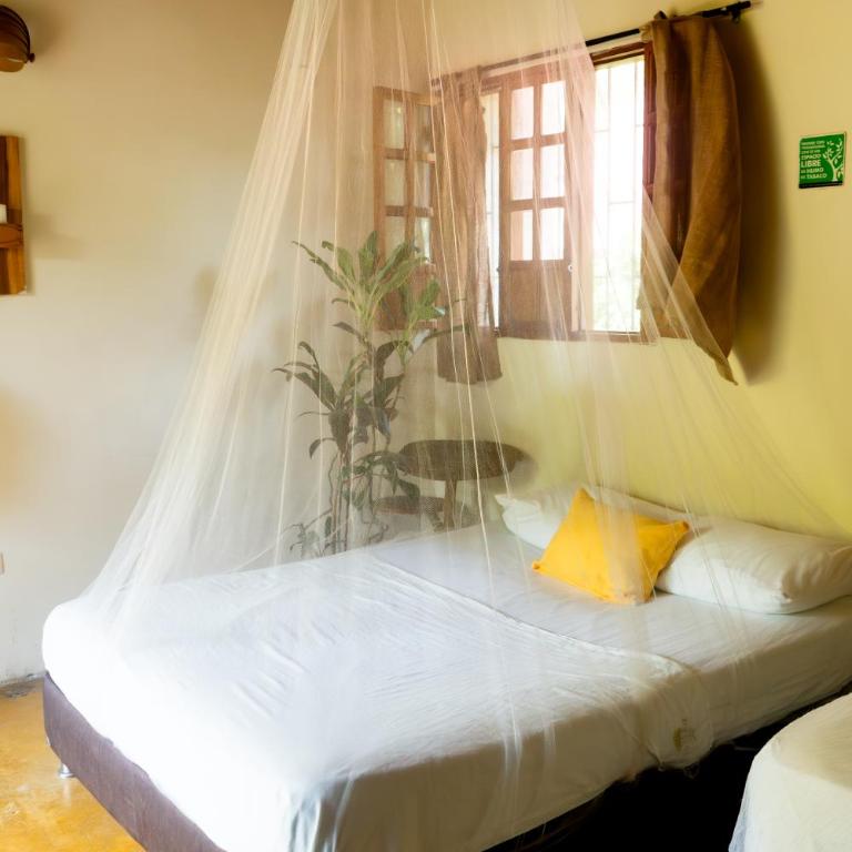 Kallpa B&B - Habitación Familiar con baño privado - 7