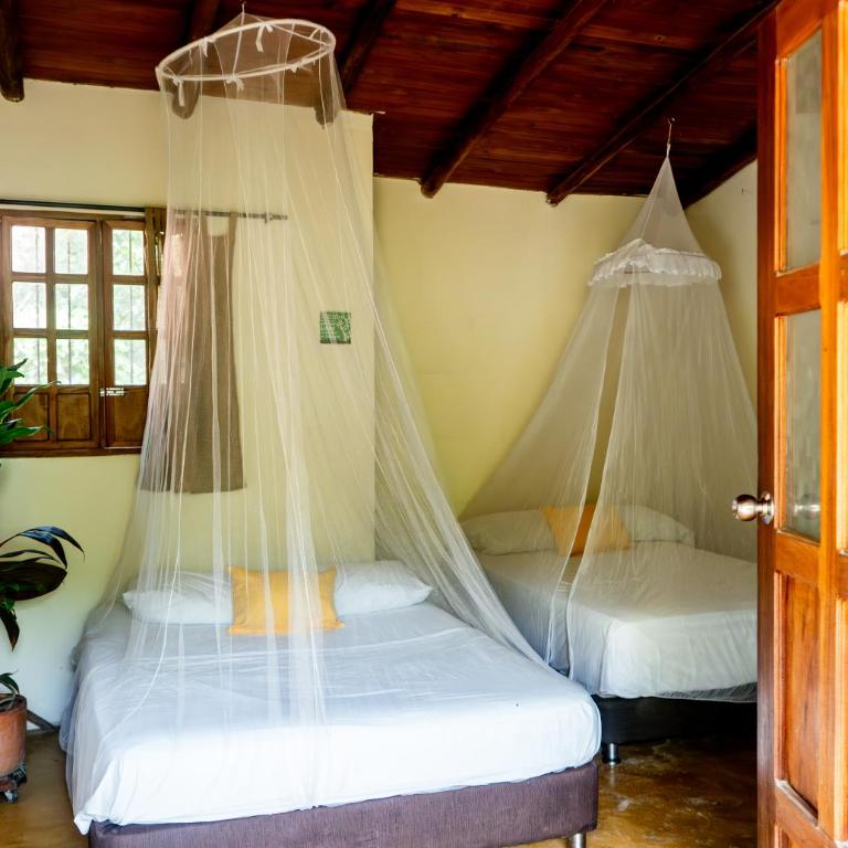 Kallpa B&B - Habitación Familiar con baño privado - 13