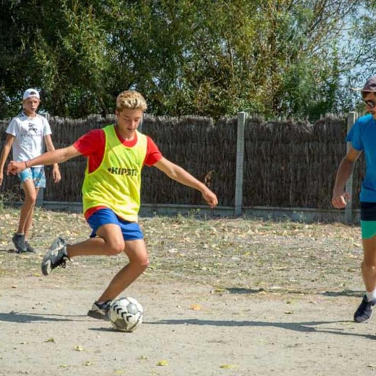 Chalet charmant, animaux OK - 2 pers. - API-1-52-2845 - Chalet - 36