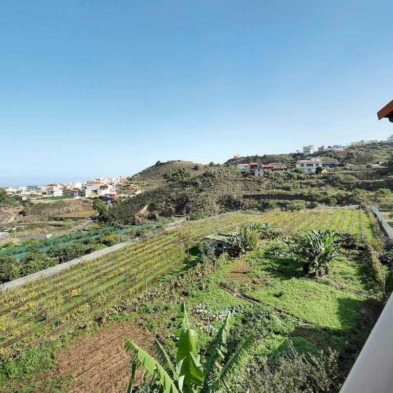 Apartamento TIly - Appartamento con 1 Camera da Letto - 6
