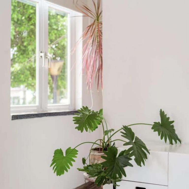 Bright 1BR with Optional Rooftop well Connected - Appartement 1 Chambre - 11