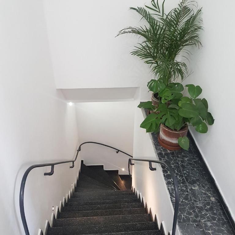 Bright 1BR with Optional Rooftop well Connected - Appartement 1 Chambre - 30