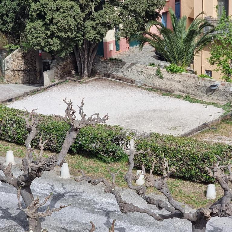 Studio avec terrasse proche plage Collioure - FR-1-309-501 - Studio - 17