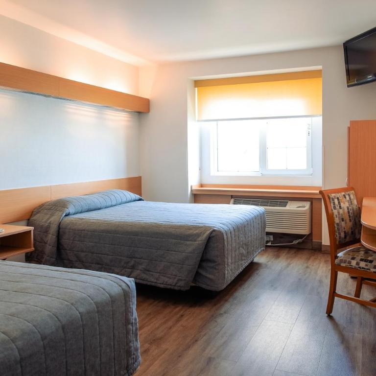 Hotel Intercity Zapopan - Standard Zweibettzimmer - 6
