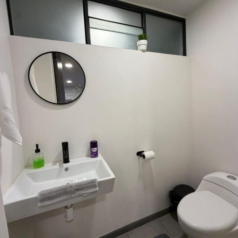 Apartment in the historic center, Nala's House 1 - Apartamento de 1 dormitorio - 4
