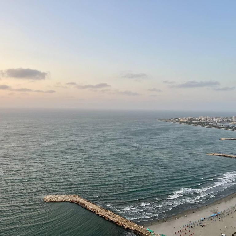 1 Bedroom Beachfront 40th Floor - Apartment - 28