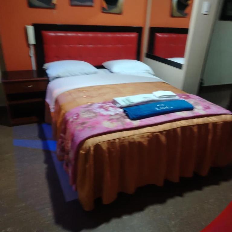 Hostal Lion's - Standard Queen Room - 2