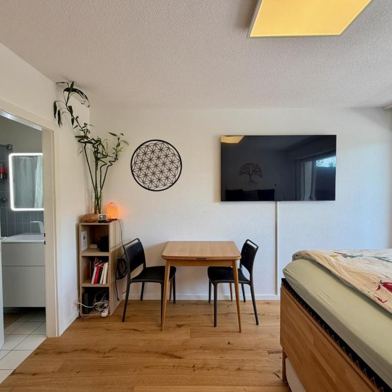 Studio Serenity, 4 min walk to center! - Appartement 1 Chambre - 3