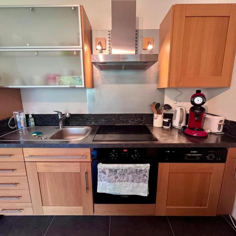 Joli T2 au calme, nature près du Lac-du-Bourget - Apartment mit 1 Schlafzimmer - 3