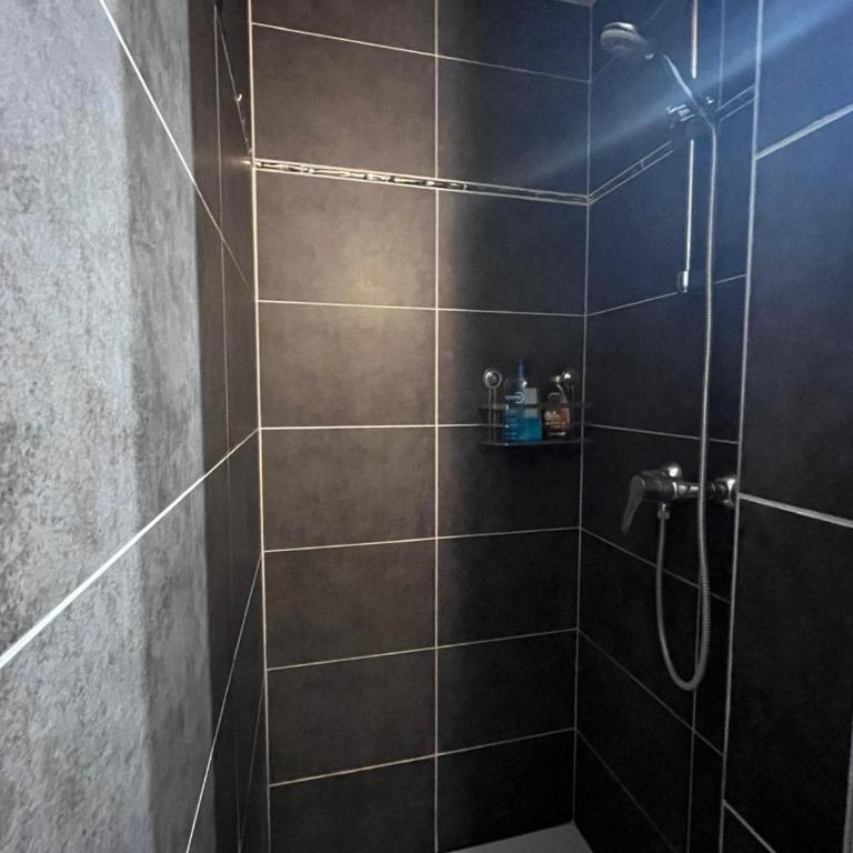 Joli T2 au calme, nature près du Lac-du-Bourget - Apartment mit 1 Schlafzimmer - 9