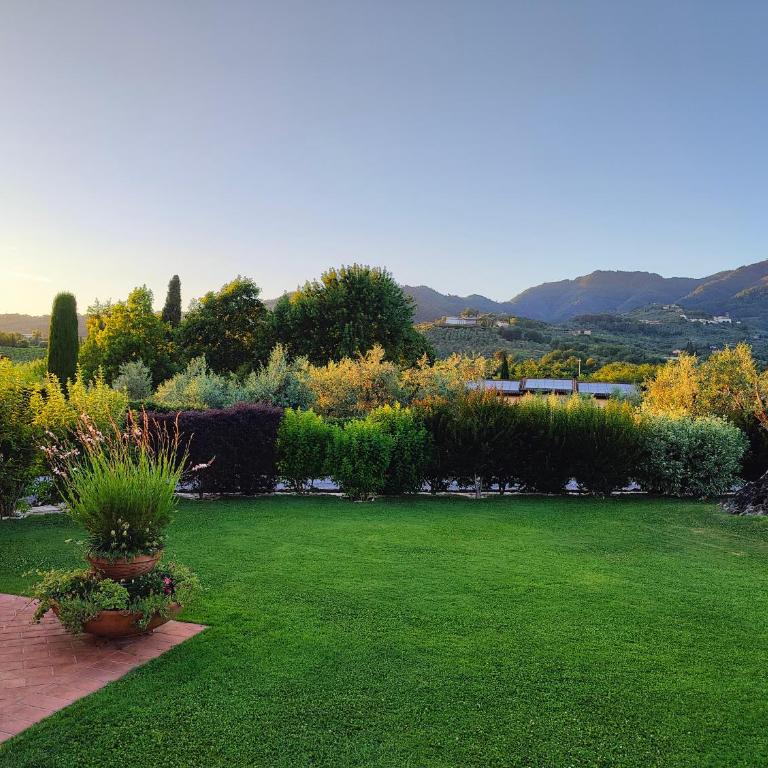 Tuscan Villa exclusive use of private pool A/C Wifi Villa Briciola - Villa con 3 Camere da Letto e Piscina Privata - 23