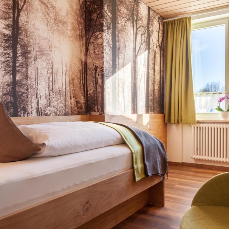 Hotel Waldhorn - Einzelzimmer - Hauptgebäude - 1