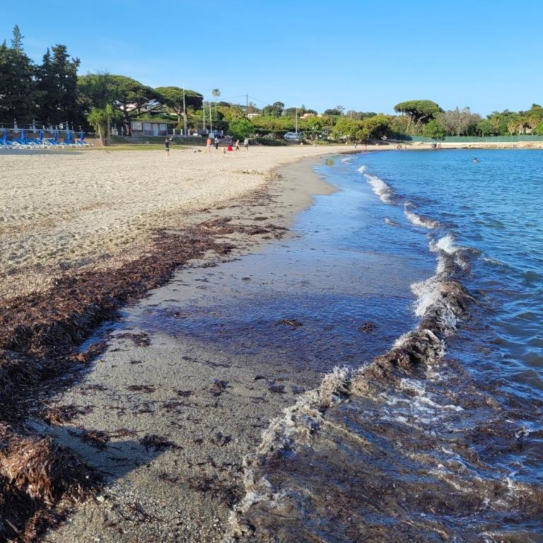 Évasion azuréenne aux Parcs de Grimaud - Appartamento Monolocale con Vista Mare - 2