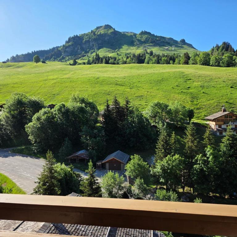 Appartement T3 avec balcon au Chinaillon - Apartment - 1