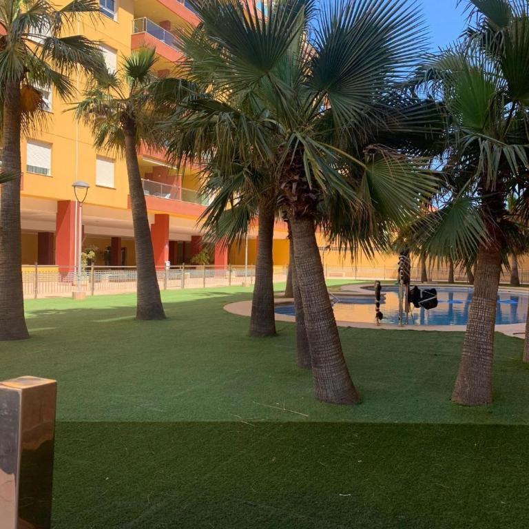Estudio Leyaros - Estudio con sofá cama - 15
